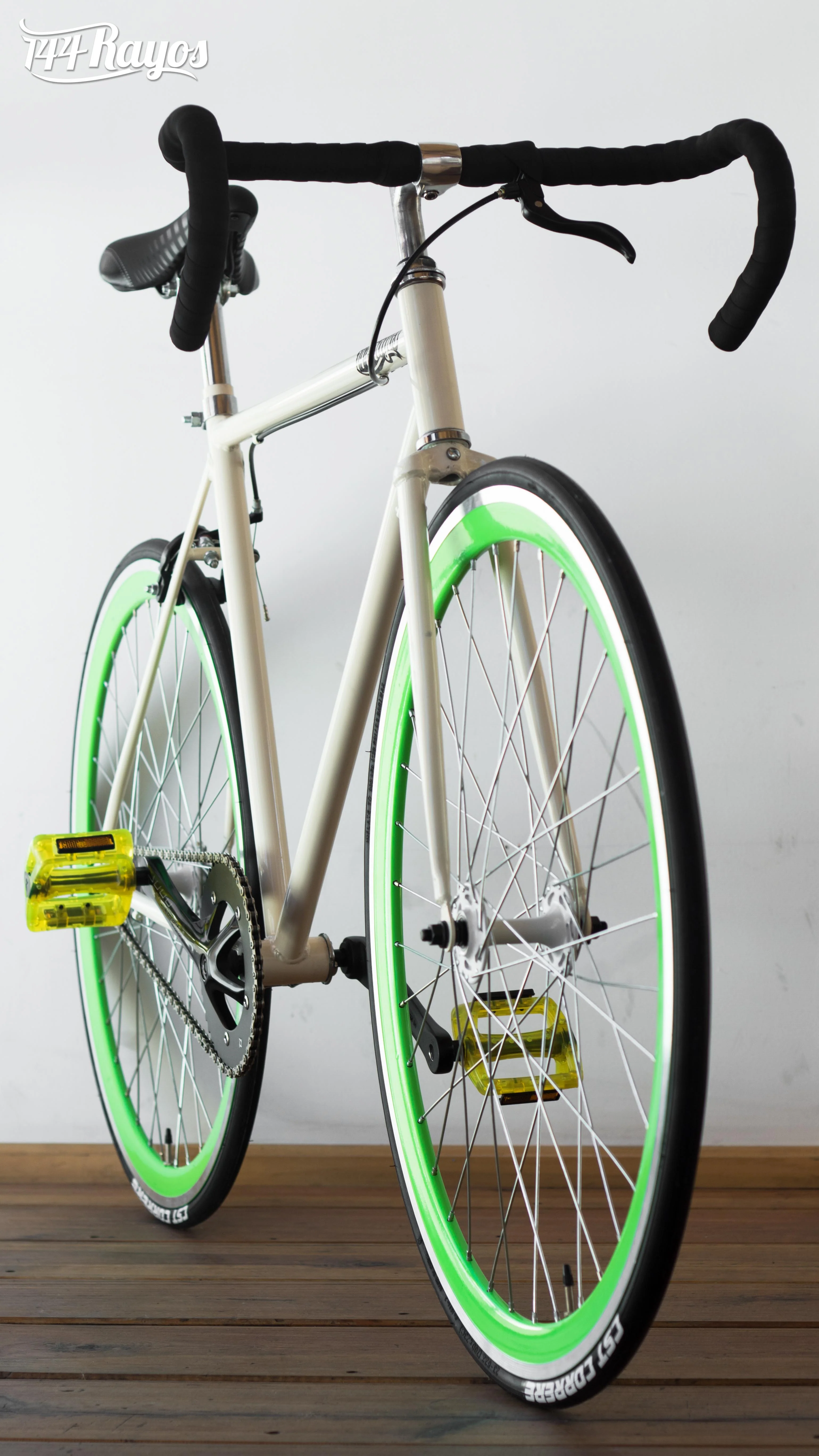 PALOMA VERDE - Image 3