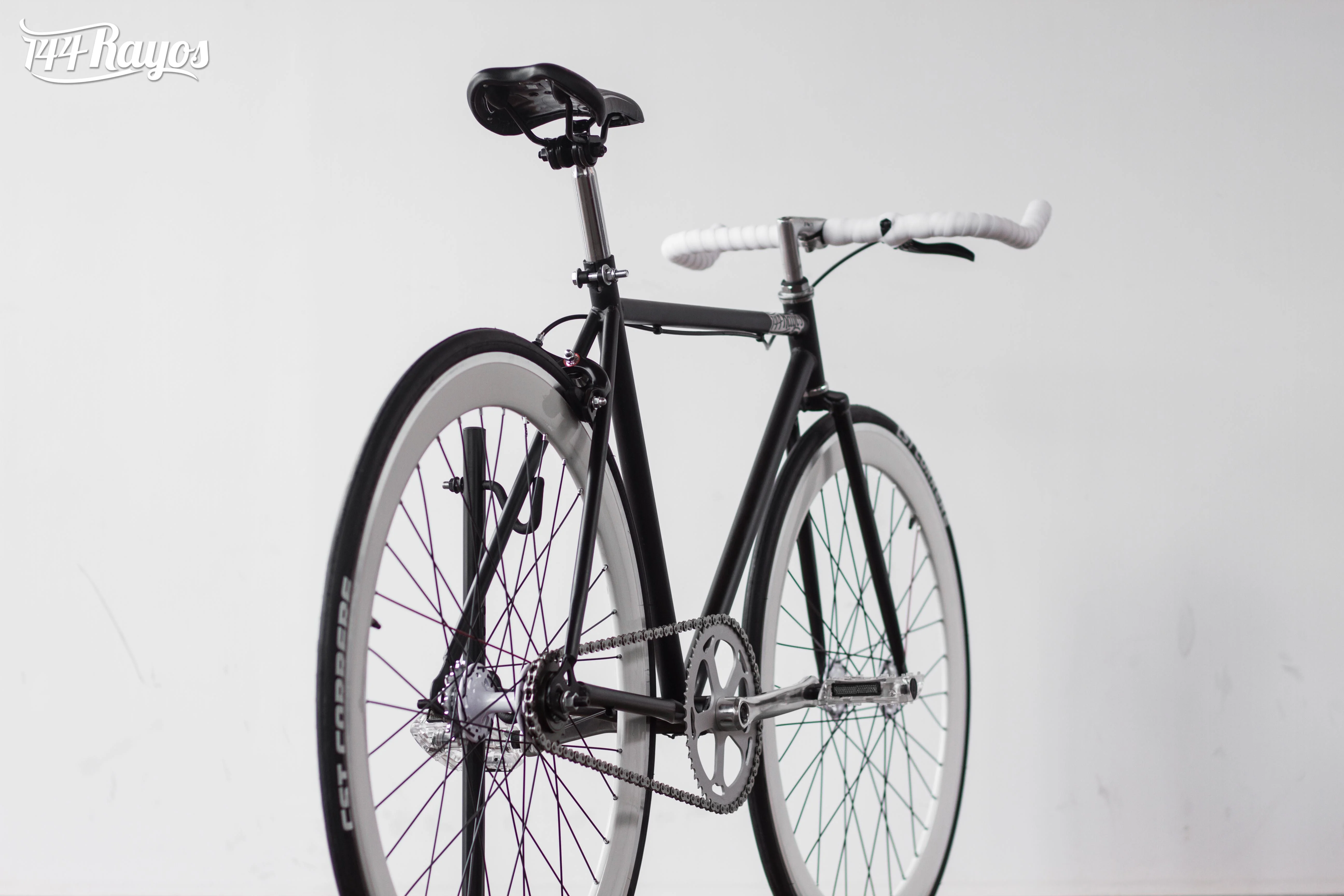 Gallo negro moteado - Image 4
