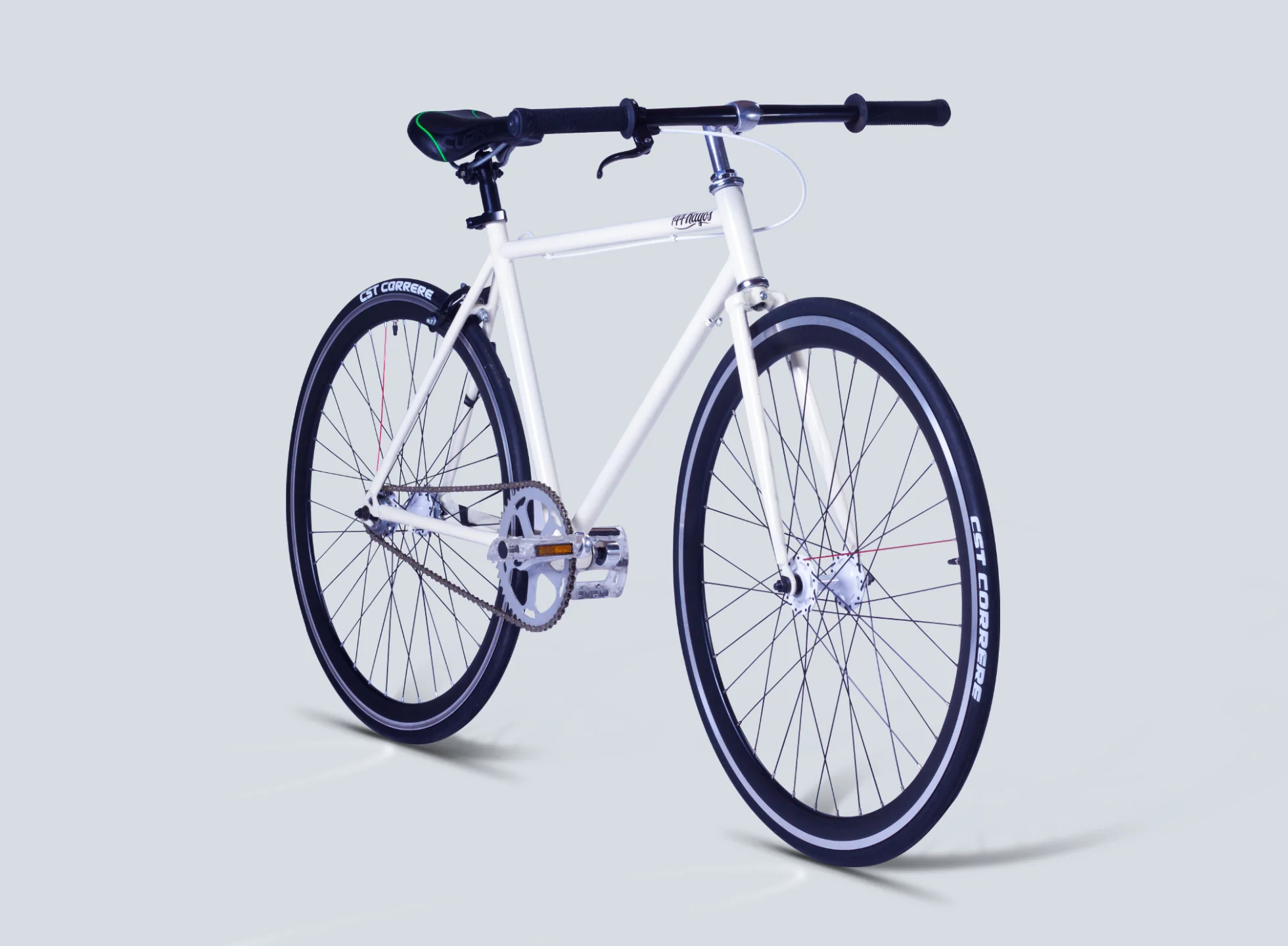 PALOMA - Image 3