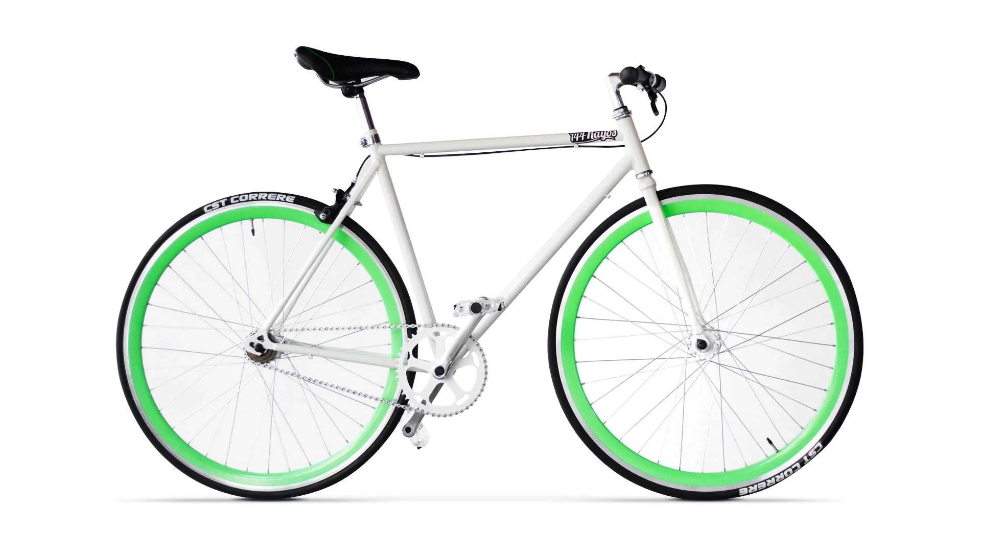 PALOMA VERDE