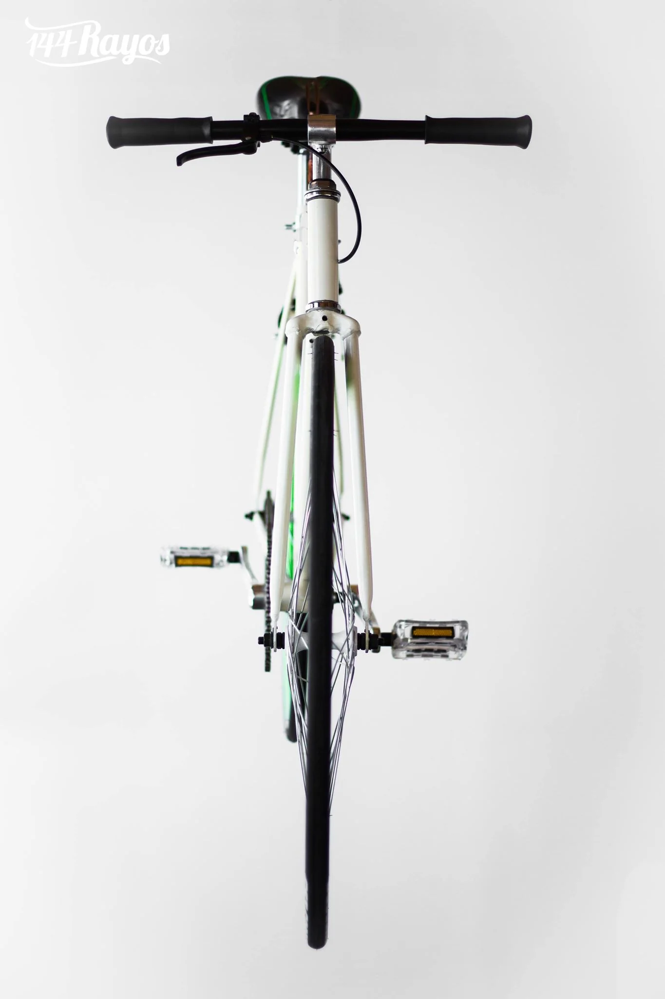 PALOMA VERDE - Image 3