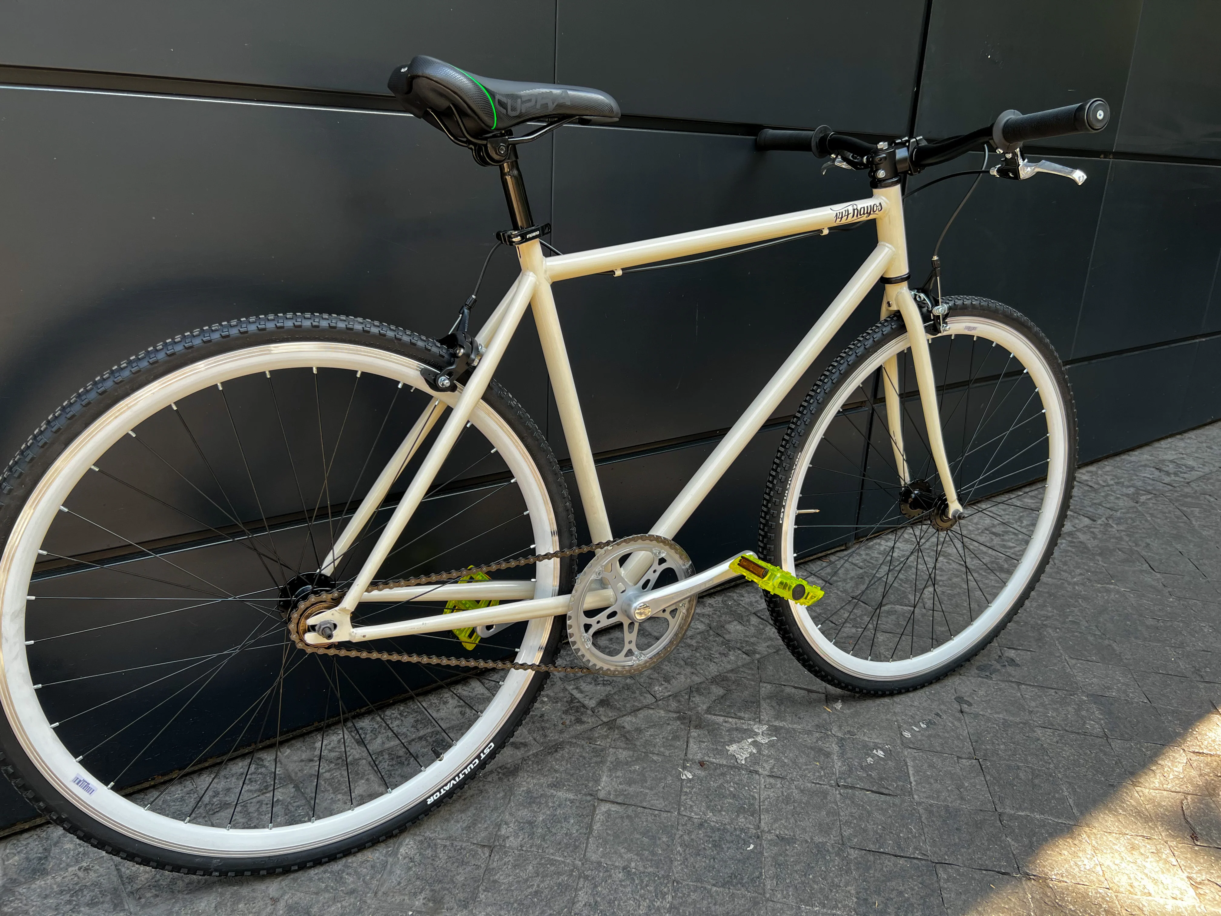 Canario blanco - Image 2