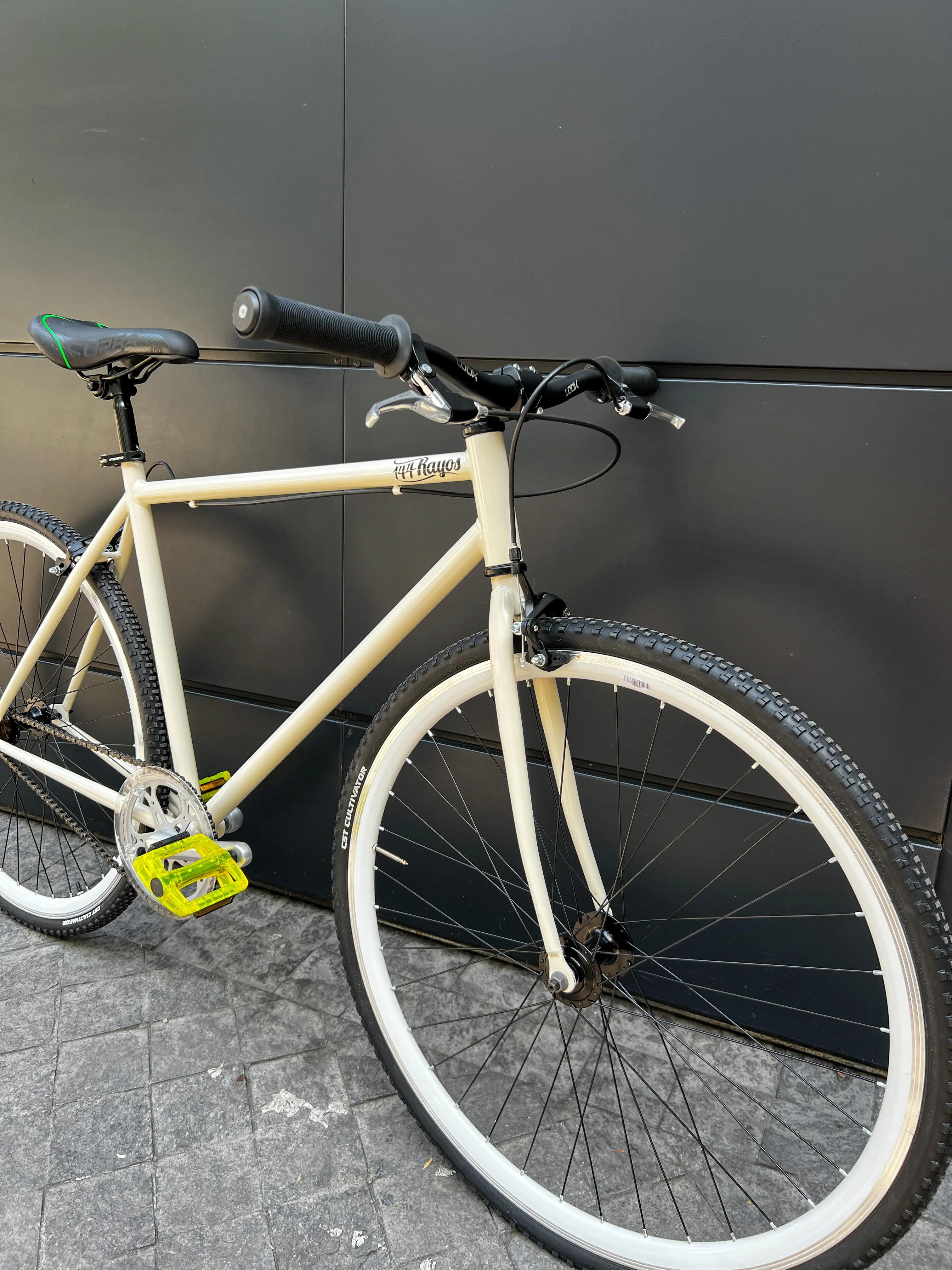 Canario blanco - Image 3