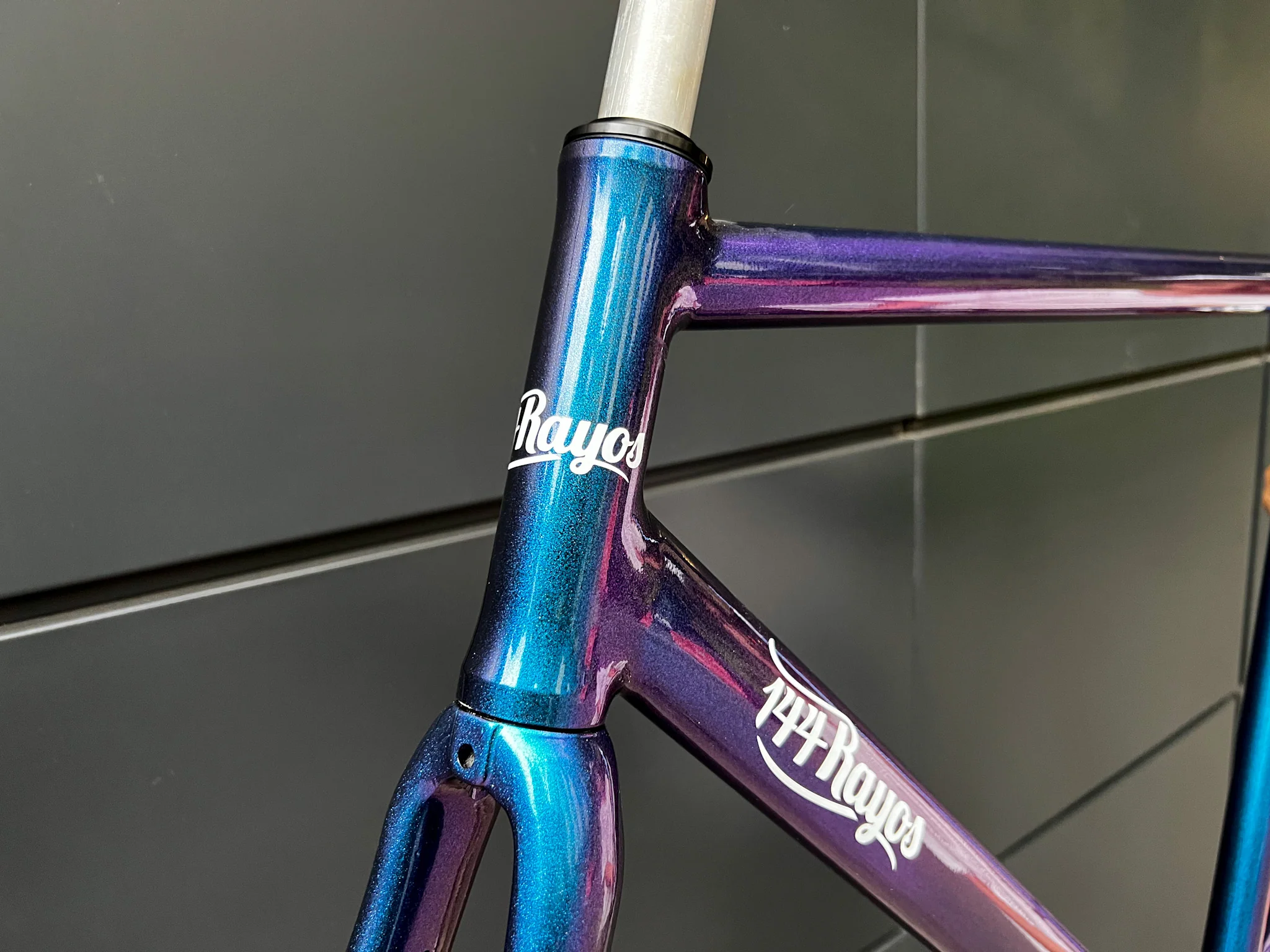 Cuadro 700 Fenix - Image 3